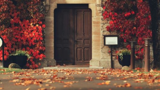 Porta con filiale autunnale-&copy;Pexels