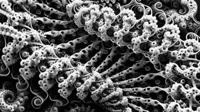 Spirale Frattale 01 - Proiezione concettuale Foto &copy; Patrizia Genovesi per Cosmos.