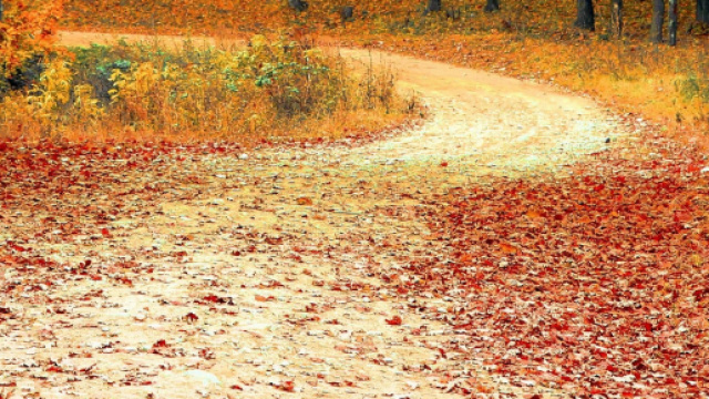 Un paesaggio autunnale (&copy; Pexels.com)