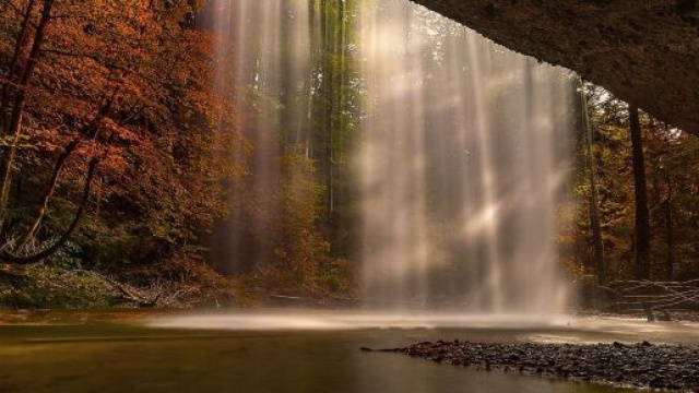 Un paesaggio autunnale (&copy; Pixabay)