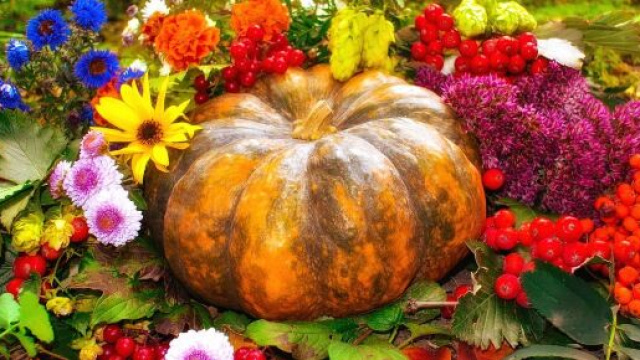 Una zucca e dei fiori (&copy;pixabay.com)