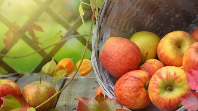 Delle mele in un cesto (&copy; Pixabay).