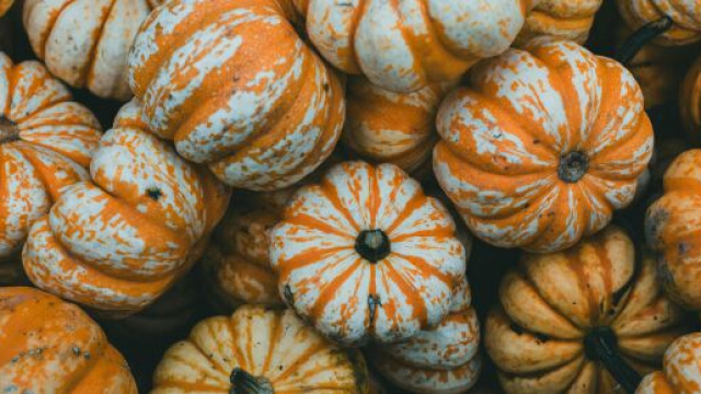 Diverse zucche raggruppate -&copy;Pexels