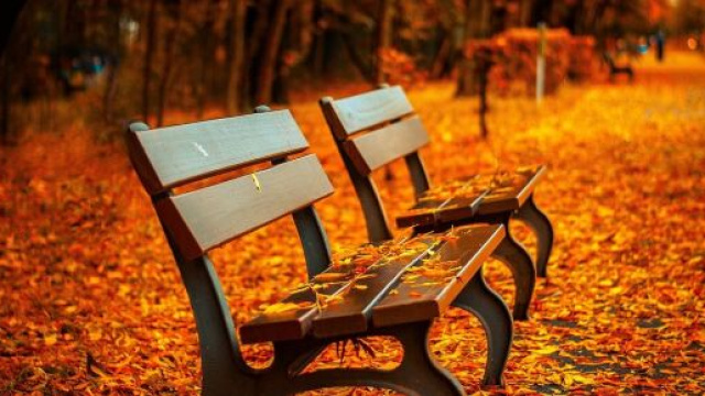 Parco in autunno - Immagine &copy; Pixabay.