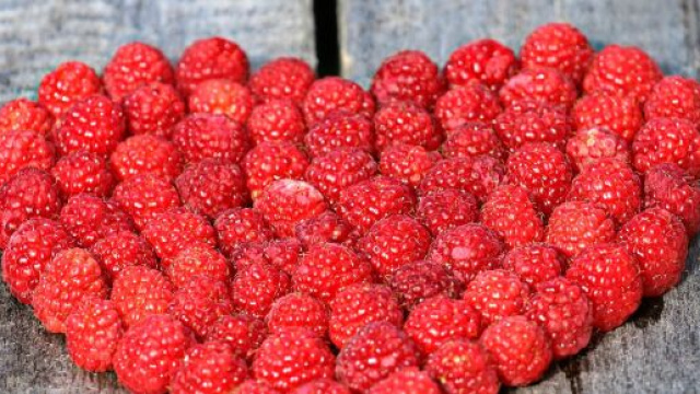 Un cuore di lamponi &copy; Pixabay.