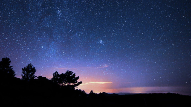 Cielo stellato e alberi &copy; Pexels.com