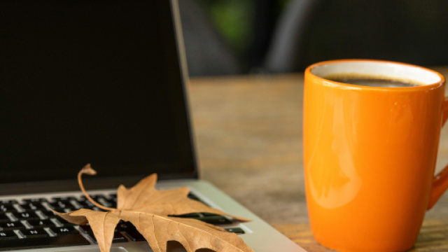 Computer con una foglia sulla tastiera e tazza &copy; Pexels