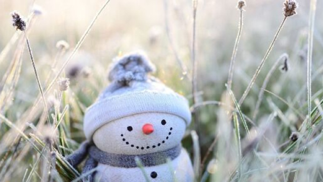 Un pupazzetto di neve (&copy; Pixabay).
