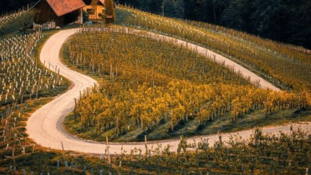 In foto un paesaggio naturale (&copy; Pixabay).