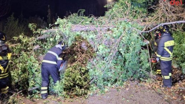 Intervento per il maltempo in Calabria - &copy; Vigili del Fuoco.