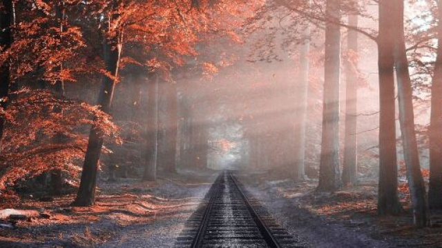 Un binario ferroviario attraversa un paesaggio autunnale &copy; pixabay.com