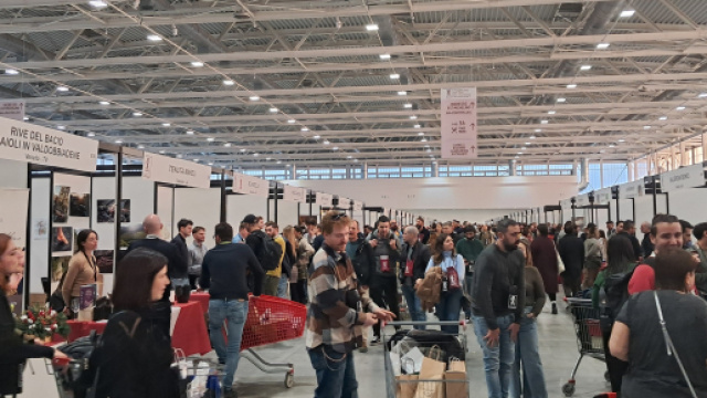Visitatori alla fiera Mercato dei vini e vignaioli indipendenti 2024 a Bologna - &copy; Katia Di Luna.
