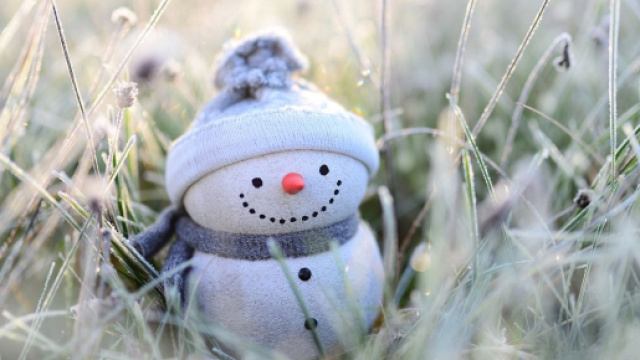 Un pupazzo di neve in un prato (&copy;pixabay.com).