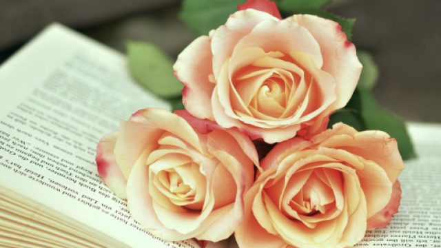 Libro aperto con tre rose poggiate tra le pagine - &copy; Pixabay.