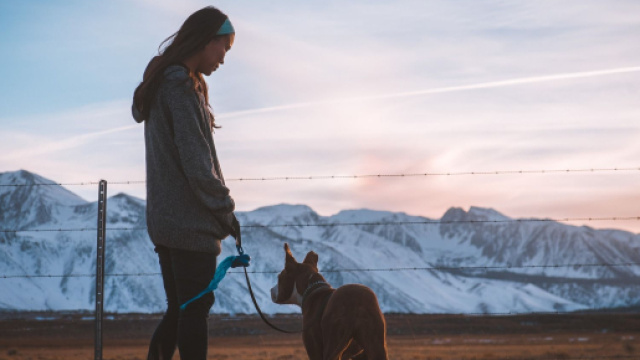 Donna a passeggio con cane, montagne innevate sullo sfondo - &copy; Pixabay.