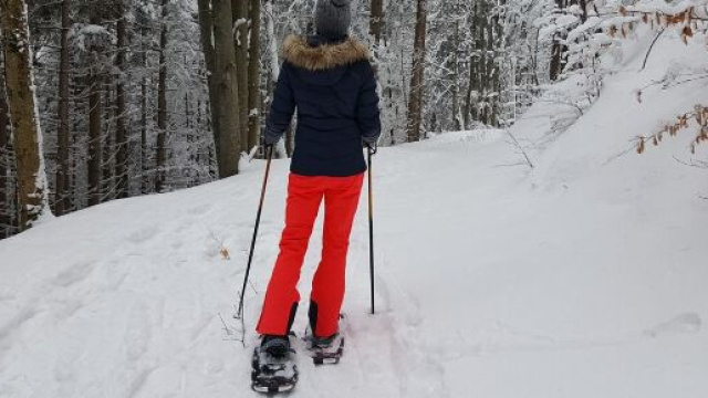 Ciaspolare in un bosco innevato &copy; Pixabay