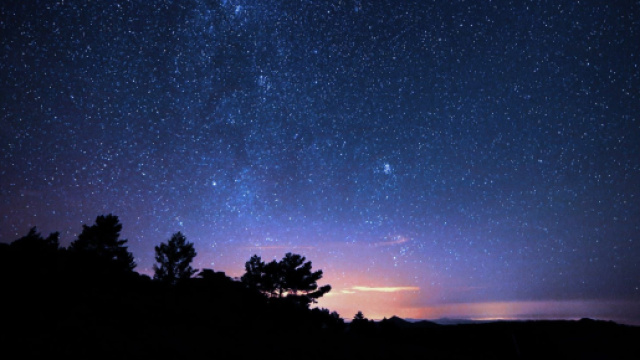 Cielo stellato e alberi &copy; Pexels