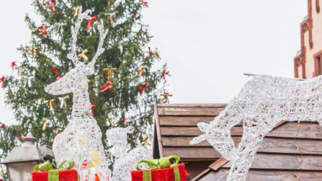 Albero di Natale con luminarie a forma di renne- &copy; Pexels.