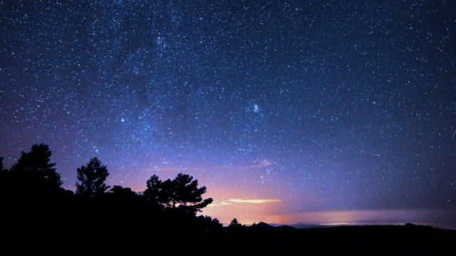 Cielo stellato e alberi &copy; Pexels.com