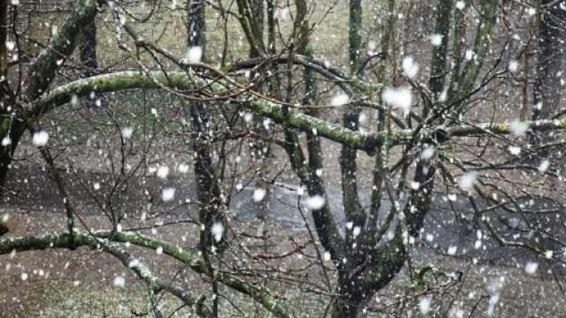 Meteo Immacolata - foto &copy; Pixabay