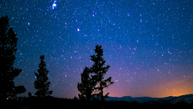 Cielo stellato e alberi &copy; Pexels