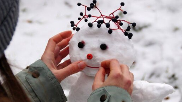 Pupazzo di neve natalizio &copy; Pixabay.