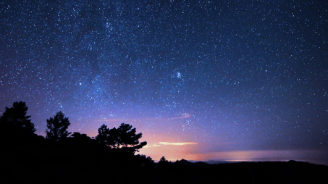 Cielo stellato e alberi &copy; Pexels