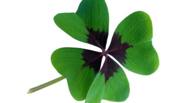 Quadrifoglio portafortuna &copy; Pixabay