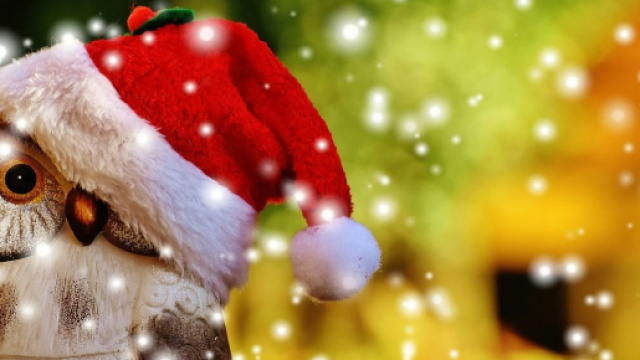 Un gufo con il cappello natalizio &copy; Pixabay