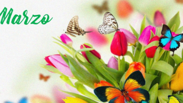 L'oroscopo del mese di marzo 2024.