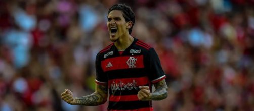 Pedro marcou o segundo gol da partida (Reprodu&ccedil;&atilde;o/Facebook/FlamengoOficial)