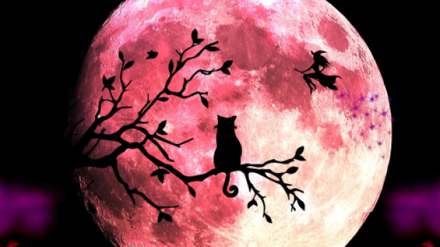 Oroscopo di domani 19 febbraio: Luna in Cancro.