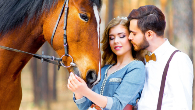 L'oroscopo e pagelle di domani 27 febbraio: Ariete 'top', Cancro 'flop' (1^ parte).