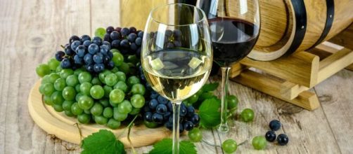 Os vinhos s&atilde;o &oacute;timas op&ccedil;&otilde;es na Serra Ga&uacute;cha (Reprodu&ccedil;&atilde;o/Pixabay)