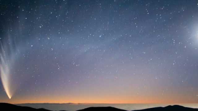 Previsioni zodiacali e classifica del 21 febbraio: Pesci delusi, Acquario romantico.