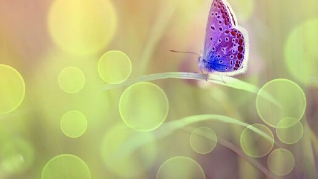 L'oroscopo dell'amore di marzo 2024.