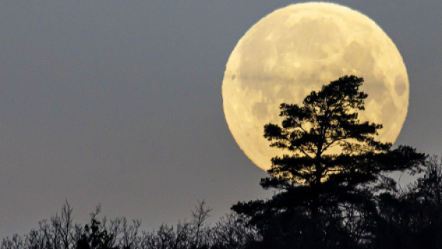 L'oroscopo e classifica di domani 7 marzo: novit&agrave; per Vergine, Leone in crisi (1&ordf; parte).