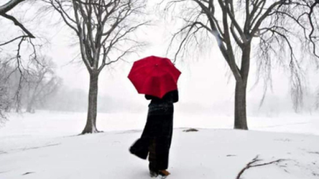 L'oroscopo del giorno 13 febbraio: marted&igrave; in linea con le attese del Sagittario (2&ordf; met&agrave;).