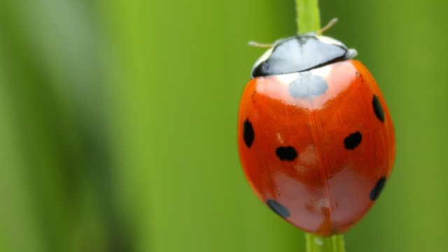 Oroscopo e classifica weekend 10 e 11 febbraio.