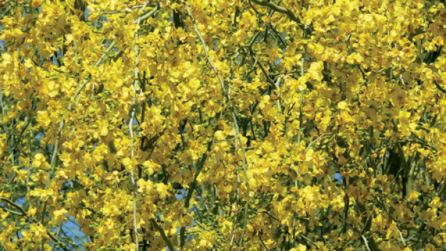 L'oroscopo dal 4 al 10 marzo 2024: il Sagittario invitato a cercare legami significativi.