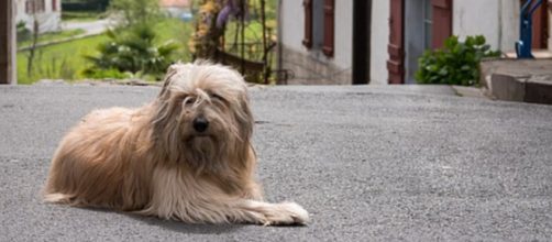El Juzgado de Primera Instancia n&uacute;mero 15 de Vigo emiti&oacute; la sentencia (WikimediaCommons)