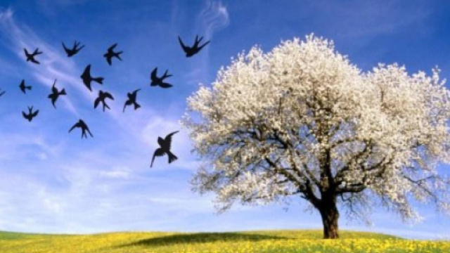 L'oroscopo del 13 marzo 2024: i Pesci invitato a concentrarsi su obiettivi chiari