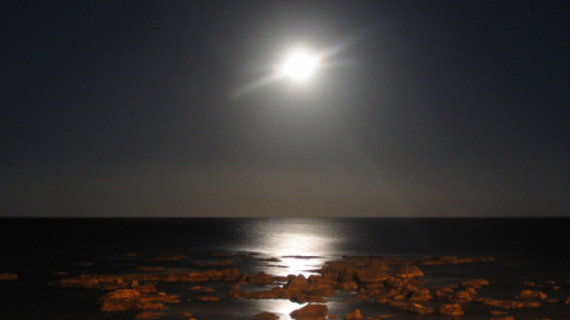 Previsioni zodiacali e classifica del 13 marzo: Acquario positivo, Pesci sensibili.