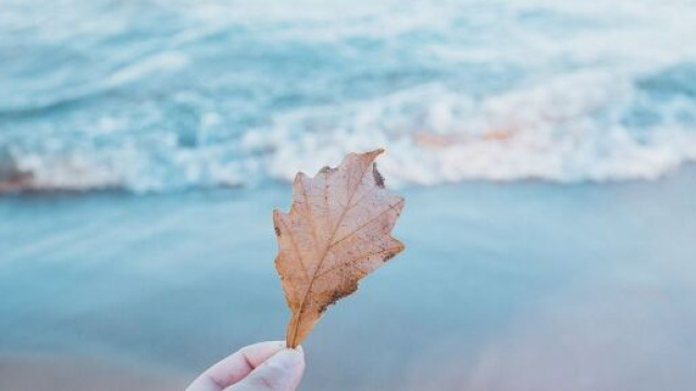 L'oroscopo settimanale dal 18 al 24 marzo.