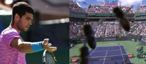 El deportista dijo que le ten&iacute;a 'un poco de miedo' a las abejas (X, @TennisTV)