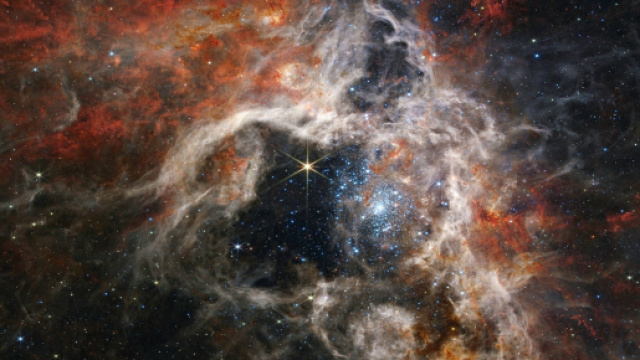La Nebulosa Tarantola - &copy; NASA, ESA, CSA, STScI, Webb ERO Production Team.