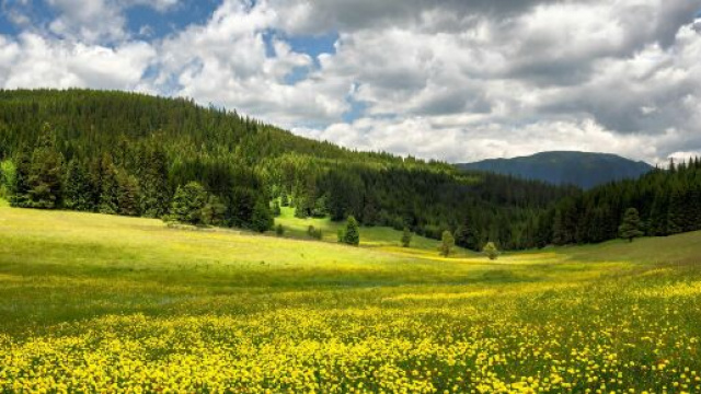 Vallata con prato e fiori &copy; pexels.com.