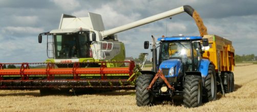 Crescimento foi impulsionado por resultado recorde da agropecu&aacute;ria (Reprodu&ccedil;&atilde;o/Pexels)