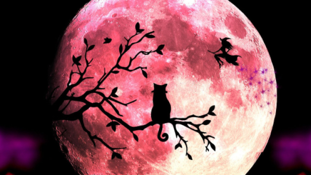 L'oroscopo e classifica di domani 11 marzo: Luna in Ariete, Vergine in rialzo (1^ met&agrave;).