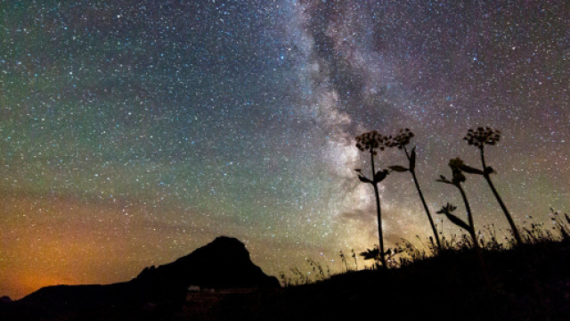 Previsioni zodiacali e classifica dell'8 marzo: Gemelli entusiasti, Leone stressato.